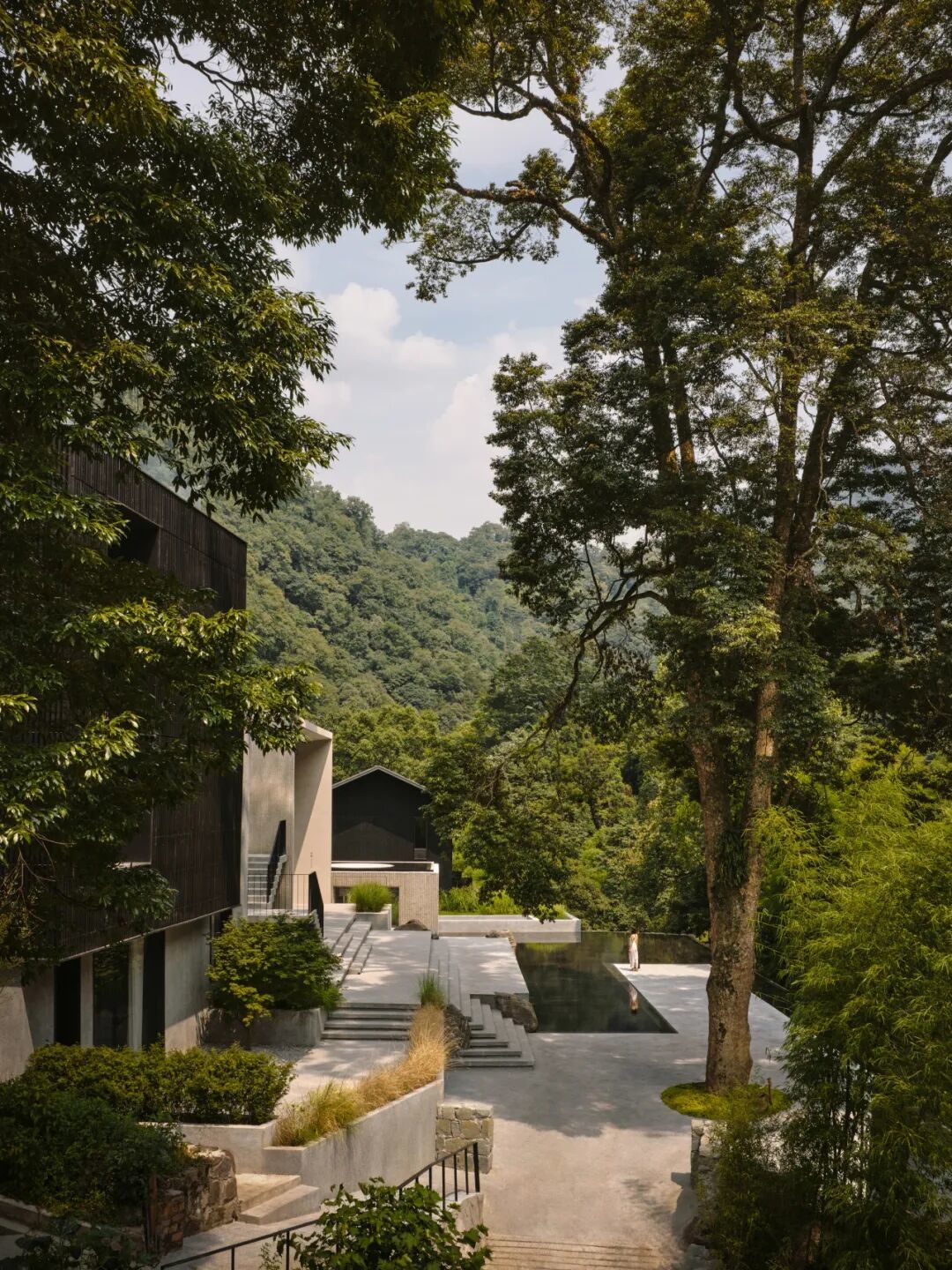 峨眉山腰,桢楠树下,七户老屋长成一座避世山居
