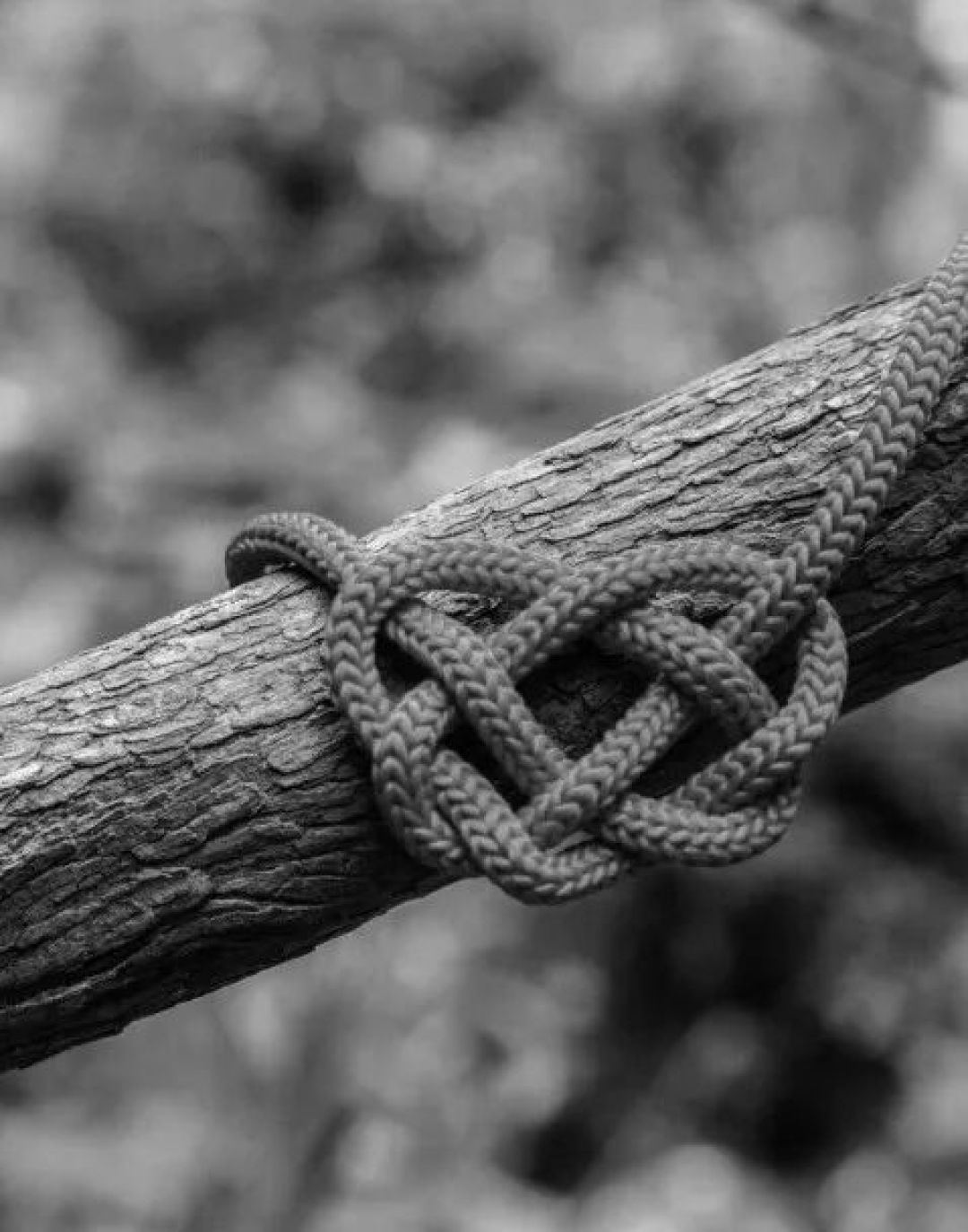 共读计划 | 《性别打结》:我们正生活在父权制的违章建筑里