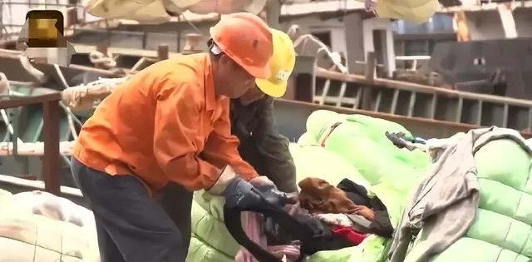 “毒衣服”被曝光,致癌物超标,会改变DNA!这4种衣服谨慎购买