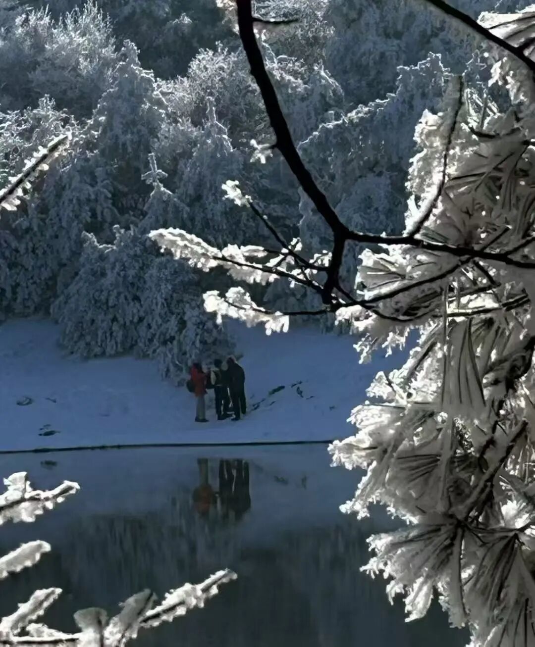 雪中的百丈岭,你一定要去