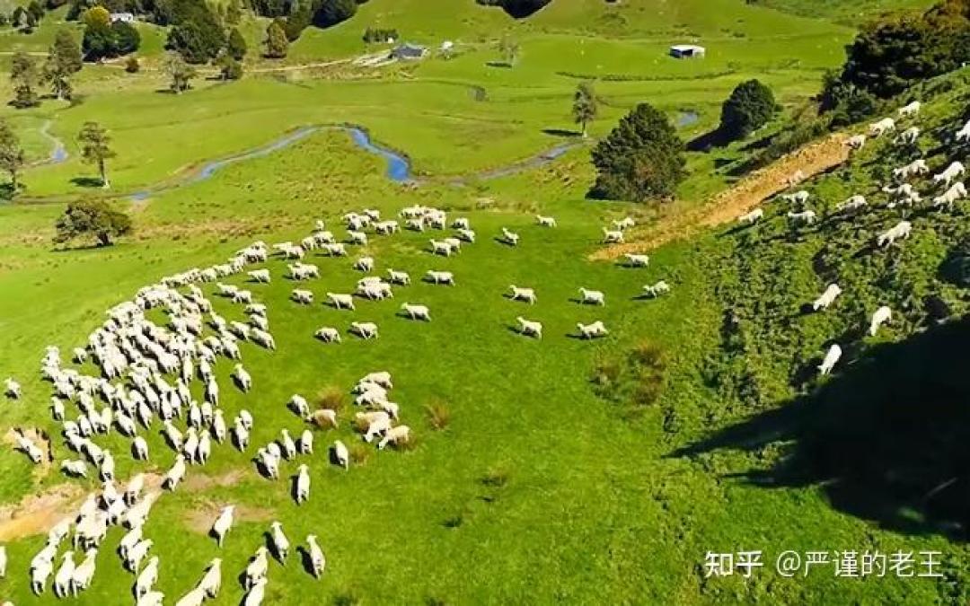 过年给长辈送什么营养品合适？羊奶粉适合中老年人体质吗？臻牧、佳贝艾特、蓝河哪款羊奶粉比较靠谱？