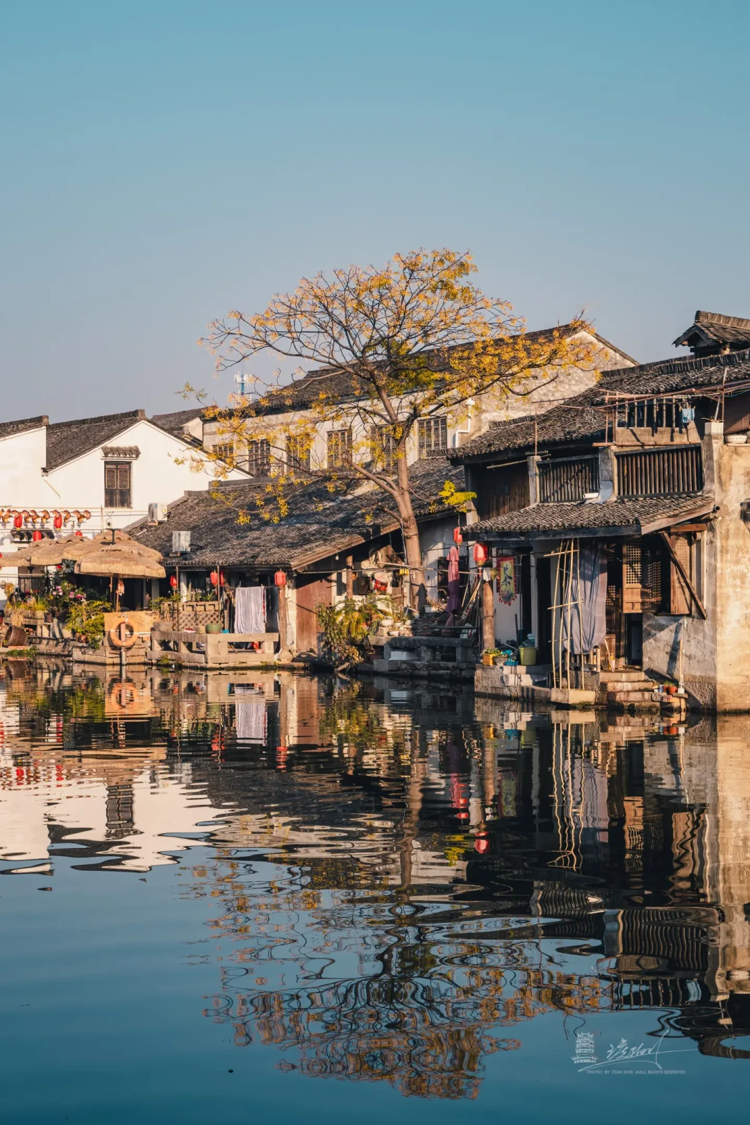 浙江年味最浓的水乡古镇,后悔现在才来🏮