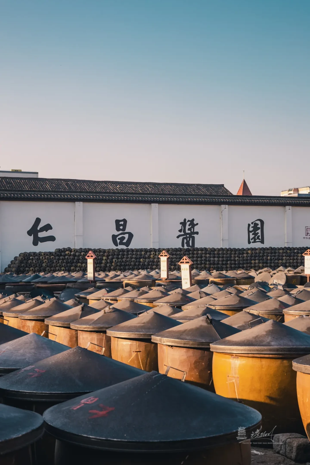 浙江年味最浓的水乡古镇,后悔现在才来🏮