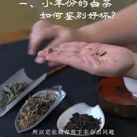 为什么你存的白茶越来越难喝，老白茶避坑指南 #白茶 #老白茶 #白牡丹茶 #言木心 #白茶避坑