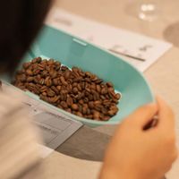 华发创享 |【阅潮书店】咖啡豆上新，新年喝新豆，共品好兆头！