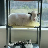 【自制教程】小羊抢的三层猫床