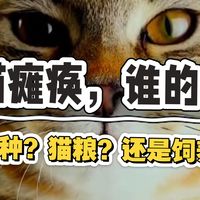 猫瘫痪，究竟是谁的错，品种？猫粮？还是饲养？