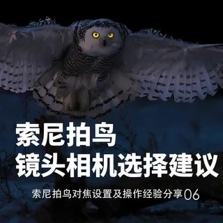 索尼拍鸟 相机及镜头 选择建议