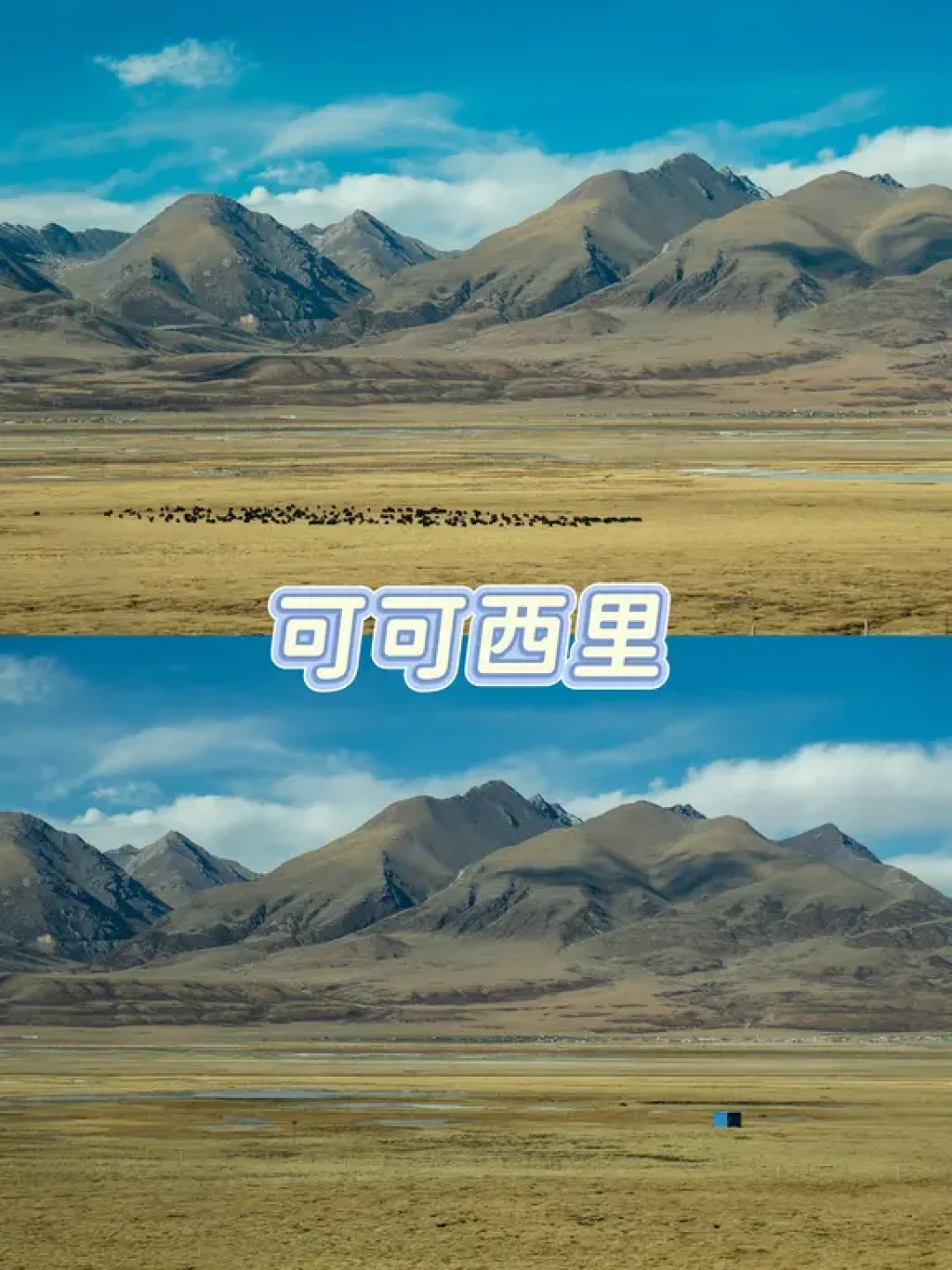❄️冬日西藏｜乘一列开往雪域高原的火车🚞