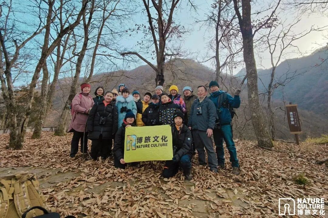 11.23早鸟结束·寒假亲子 | 动物科考:漫步唐家河,开启动物森友会!