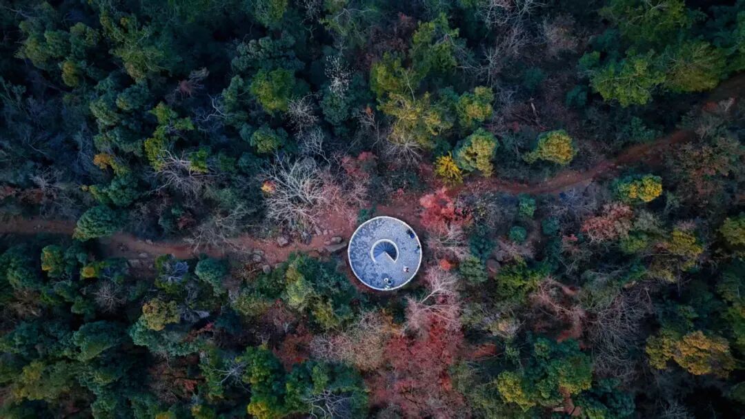 武汉•遇见森林|东湖七山连纵:在城市褶皱里,穿行山野