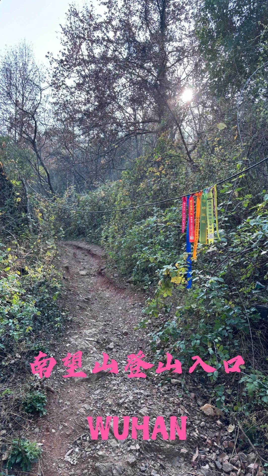 武汉•遇见森林|东湖七山连纵:在城市褶皱里,穿行山野