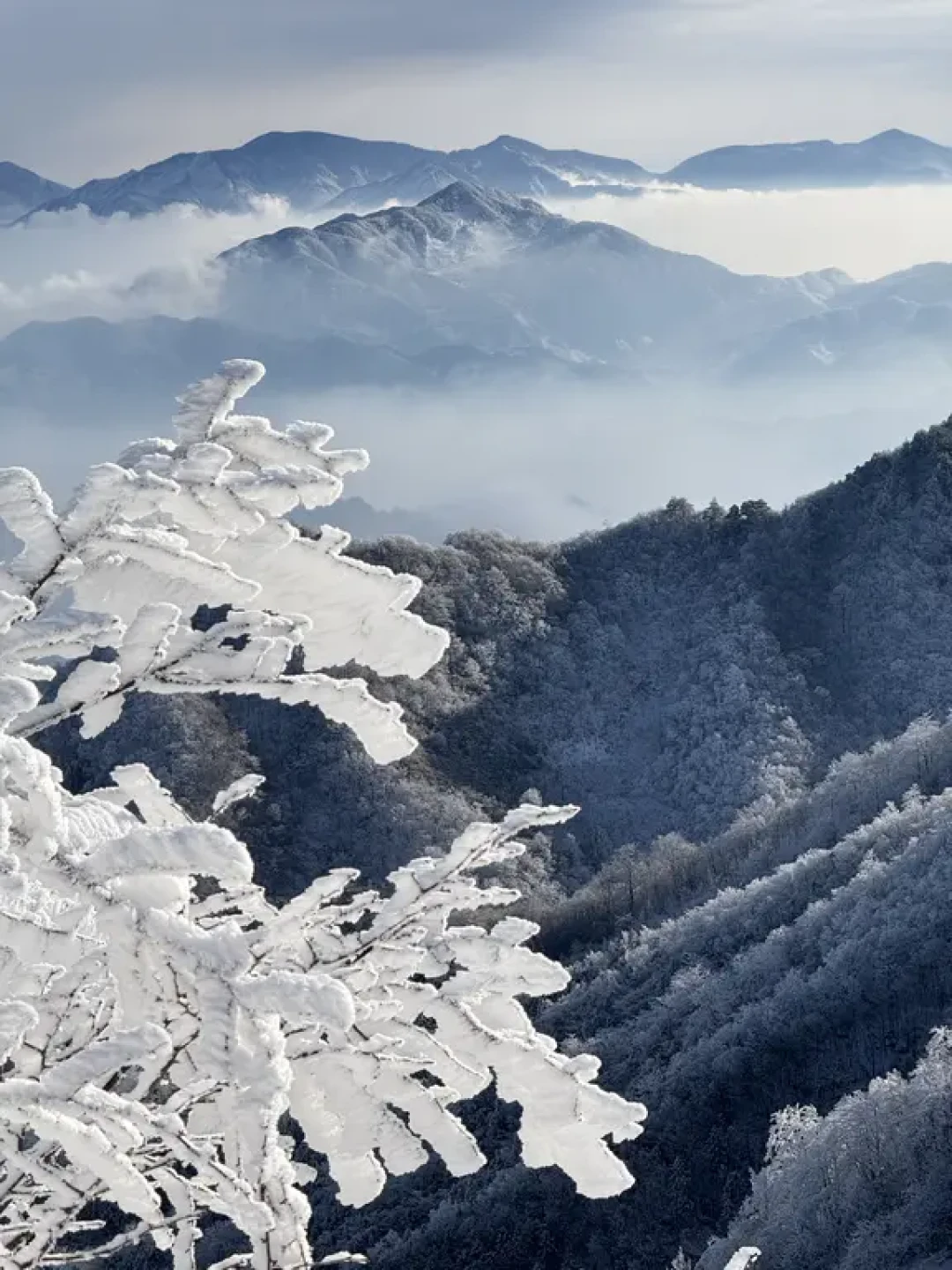 踏雪包场露营❄️,怎么会堵车又堵人呢
