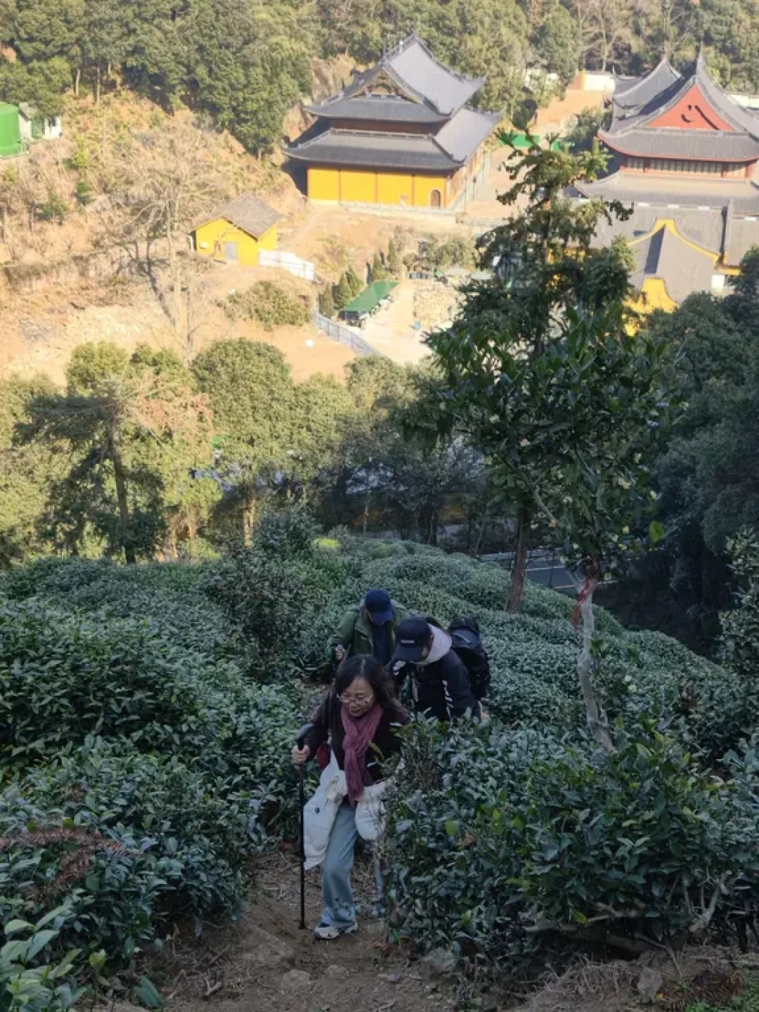 就在杭州西湖边!鹰嘴崖小众徒步太绝了!