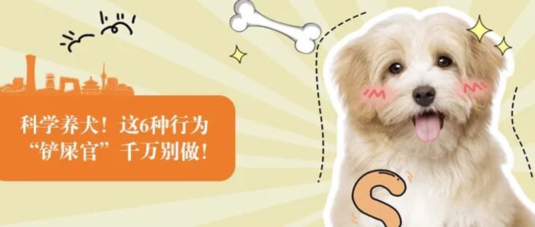 安平发布 |【幸福安平 文明有我】科学养犬!这6种行为,千万别做!
