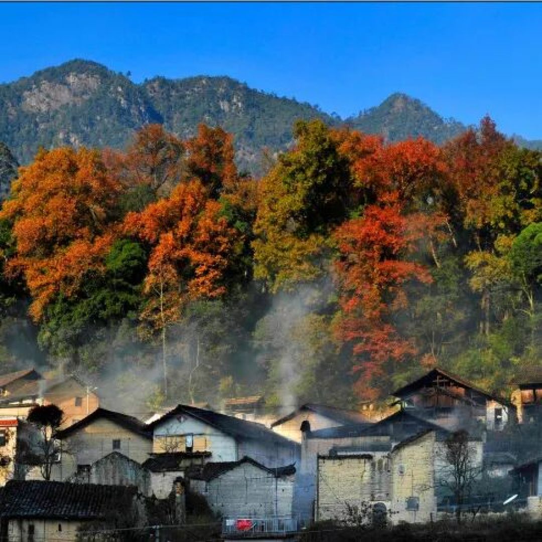 环浙步道·人气精品徒步线路推荐 ——第十期