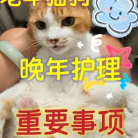 说几点老年猫狗晚年护理的重要事项