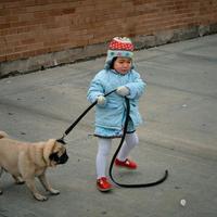 土特产变身宠物零食，是情感刚需还是营销泡沫？