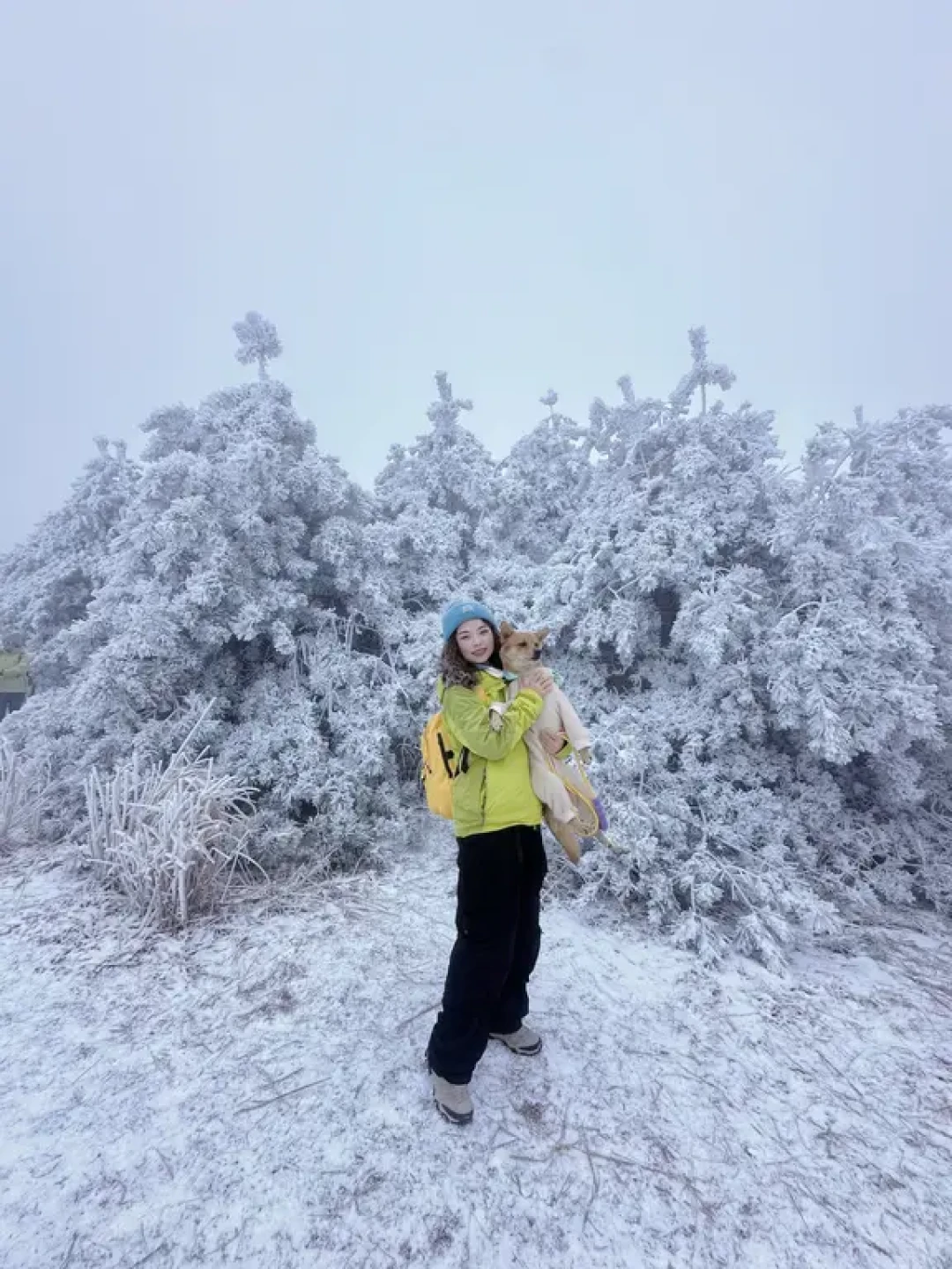 今天 ❄️百丈岭 追雪成功👏🏻(附攻略)