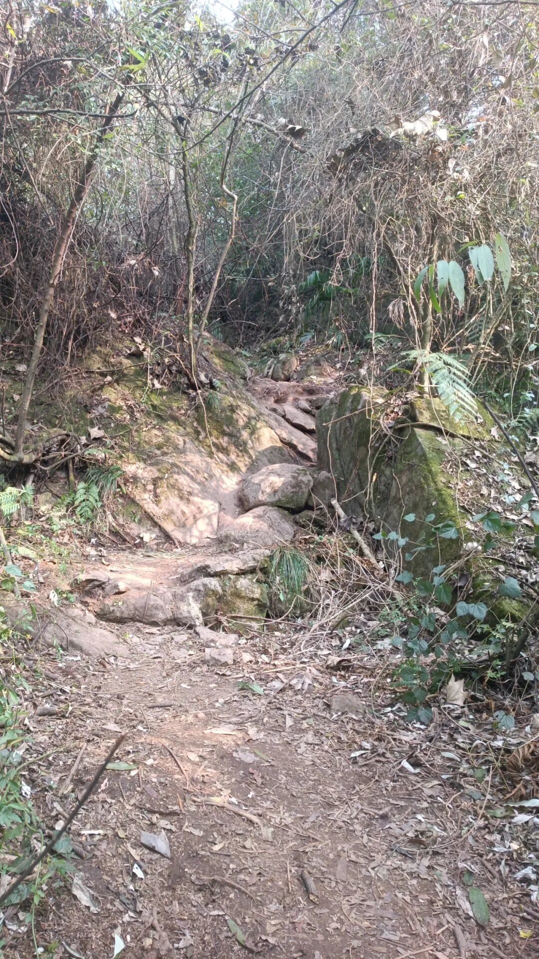 成都出发1小时,彭州老鹰岩这条8km的徒步路线,满满的野趣。