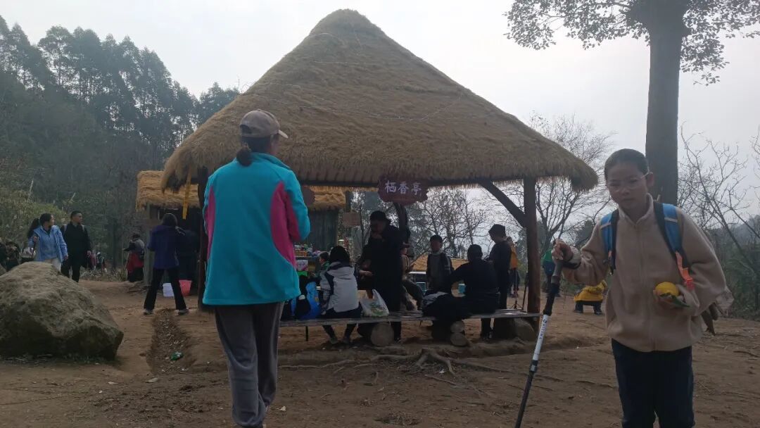 成都出发1小时,彭州老鹰岩这条8km的徒步路线,满满的野趣。