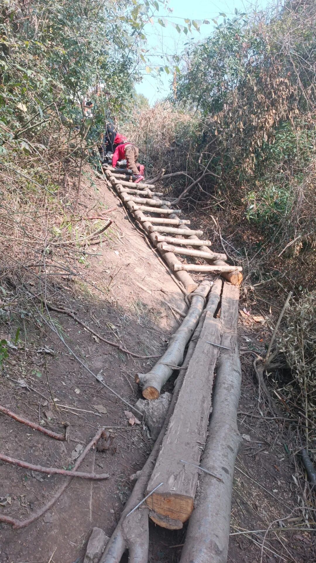 成都出发1小时,彭州老鹰岩这条8km的徒步路线,满满的野趣。