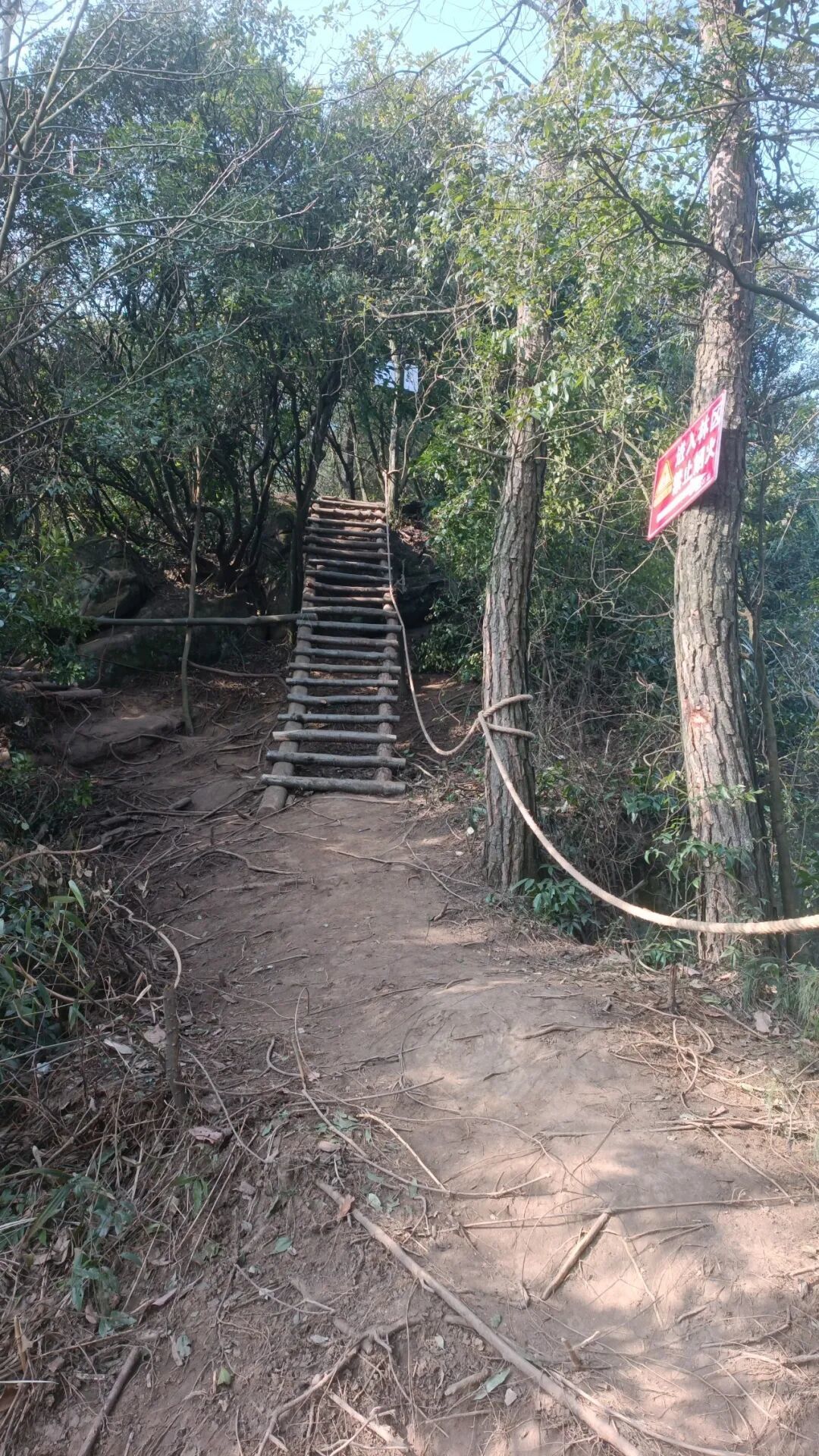 成都出发1小时,彭州老鹰岩这条8km的徒步路线,满满的野趣。