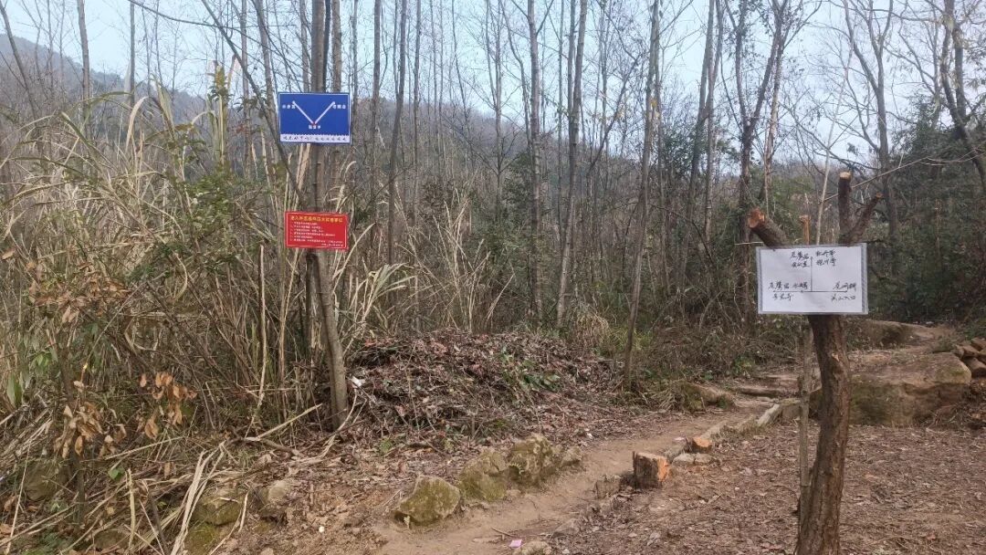 成都出发1小时，彭州老鹰岩这条8km的徒步路线，满满的野趣。