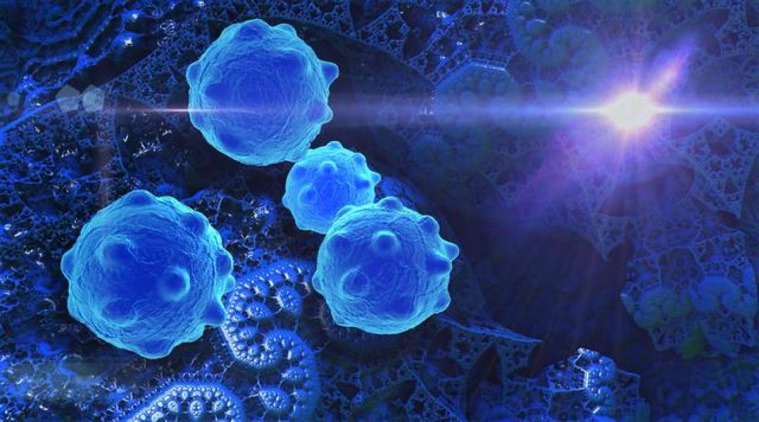 人体必需元素硒,可以杀死癌细胞?适当多吃5种食物,不怕缺硒
