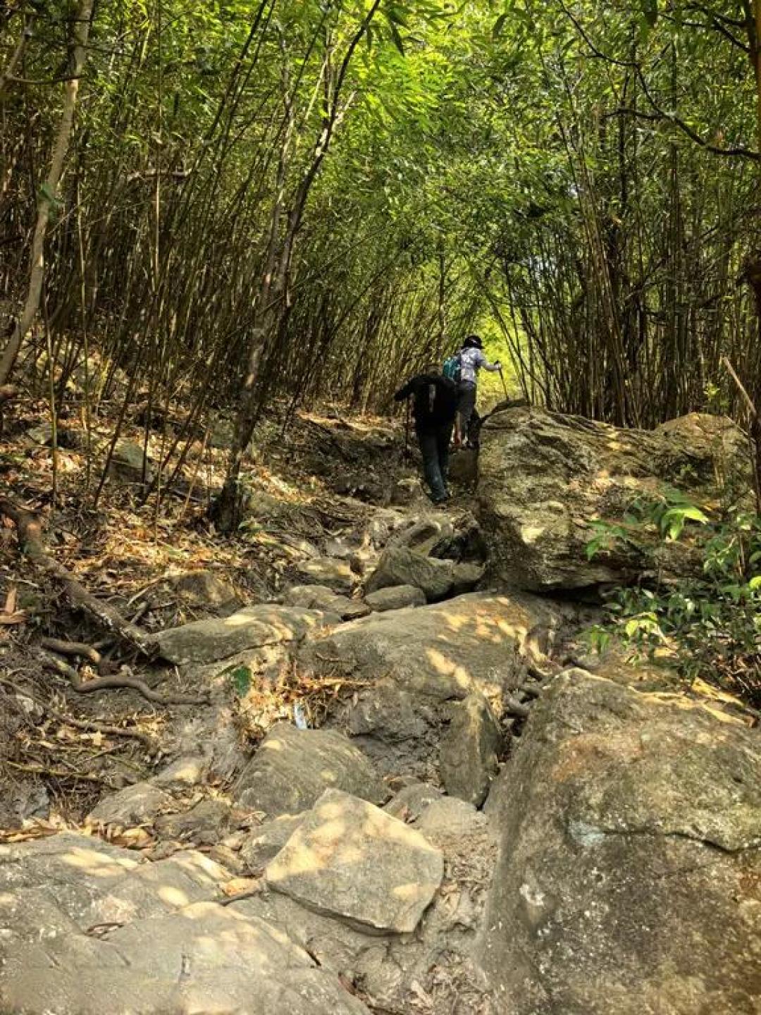登山徒步|清远猪咸脑小环线