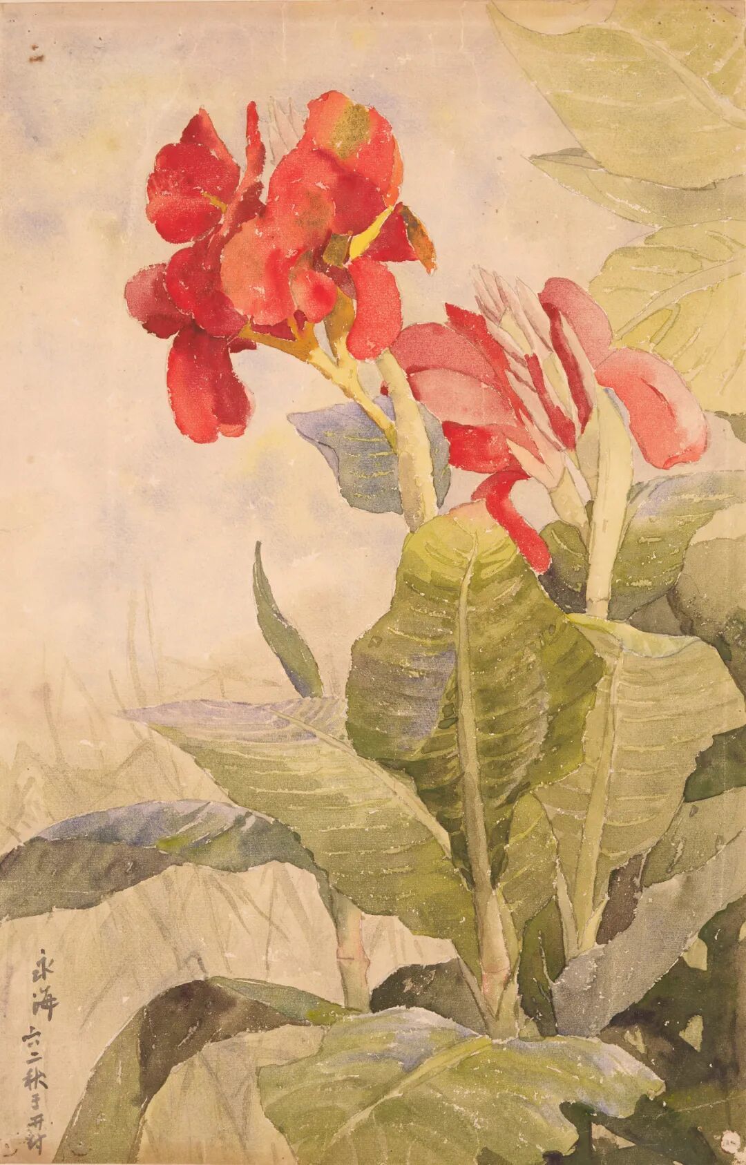 展览关注 | 繁花似锦 芳华永驻——全国水彩·粉画花卉艺术名家邀请展