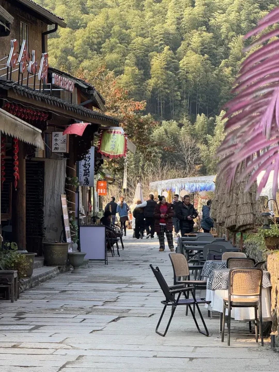 上海出发3h,桐庐|马岭古道徒步攻略🏃♀️➡️