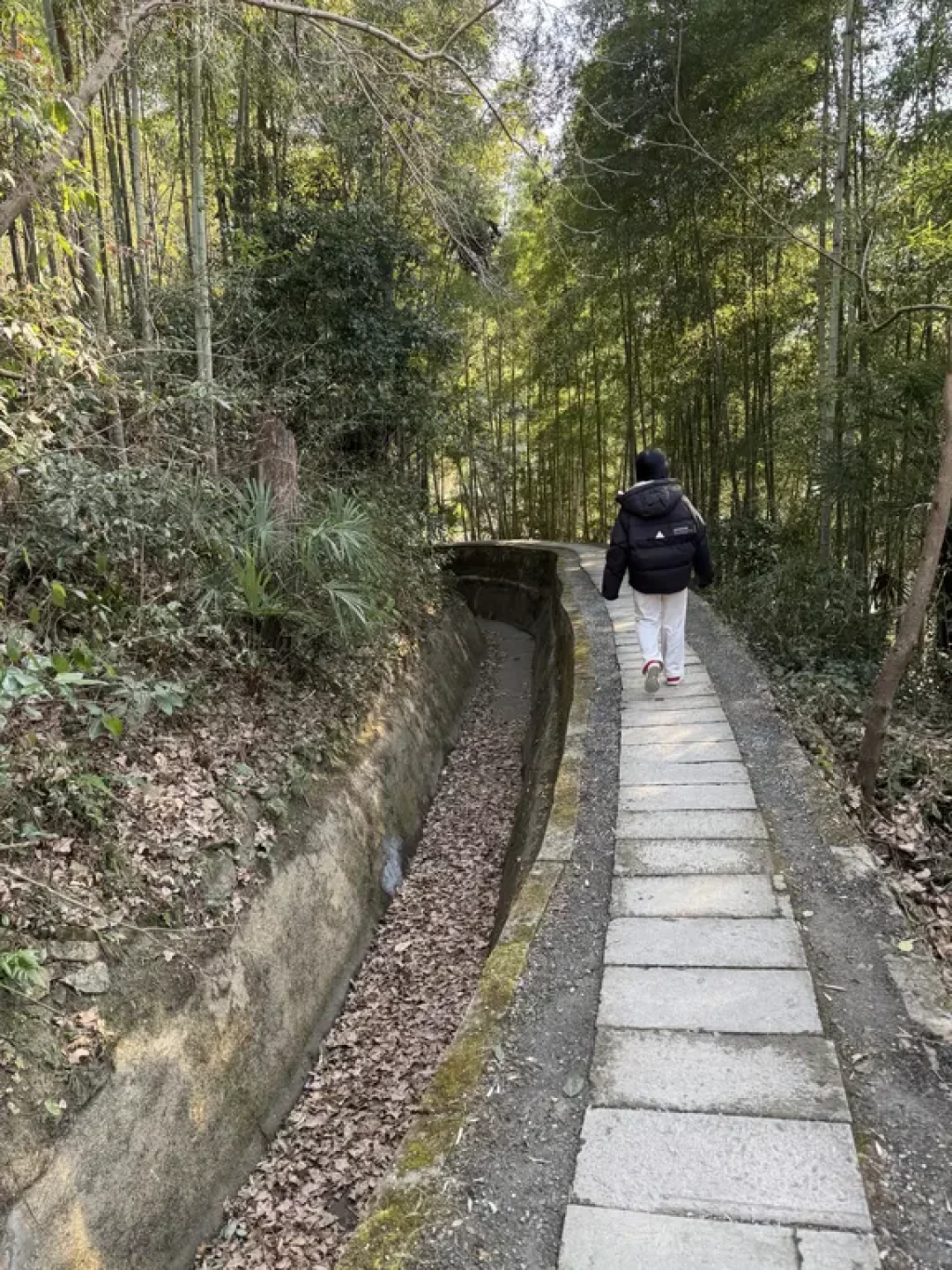 上海出发3h,桐庐|马岭古道徒步攻略🏃♀️➡️