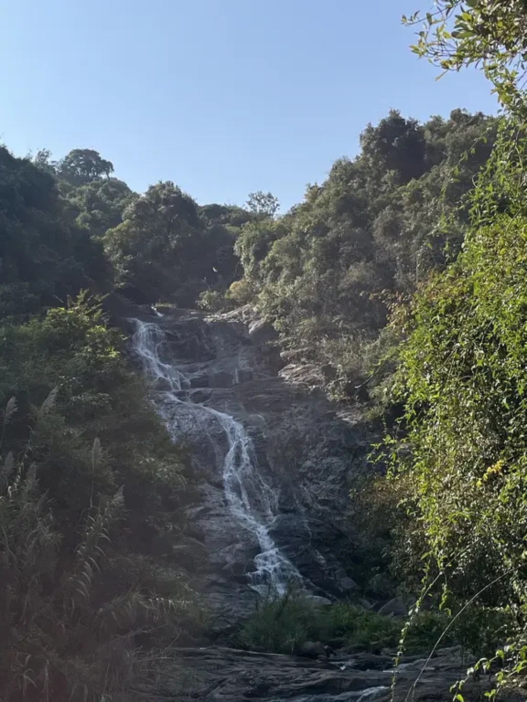 🐴马年爬马峦山|梅花虽谢,但风景仍值得🏔️
