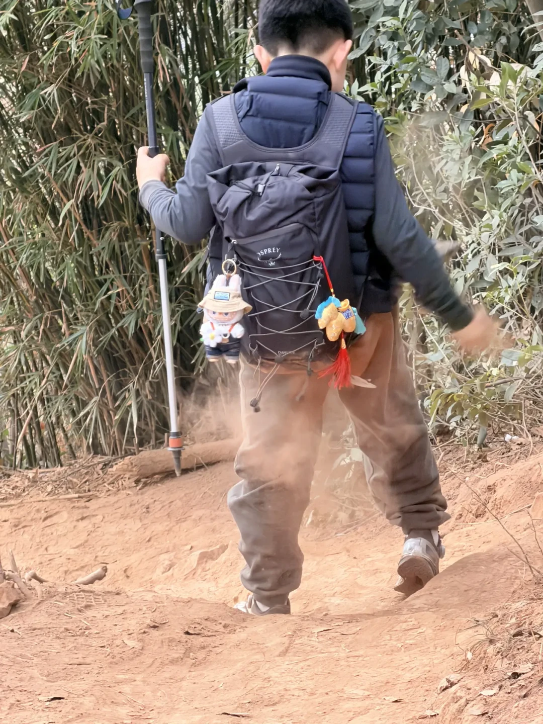 ⛰️杭州亲子徒步天花板!汤家井三峰连穿+碉堡