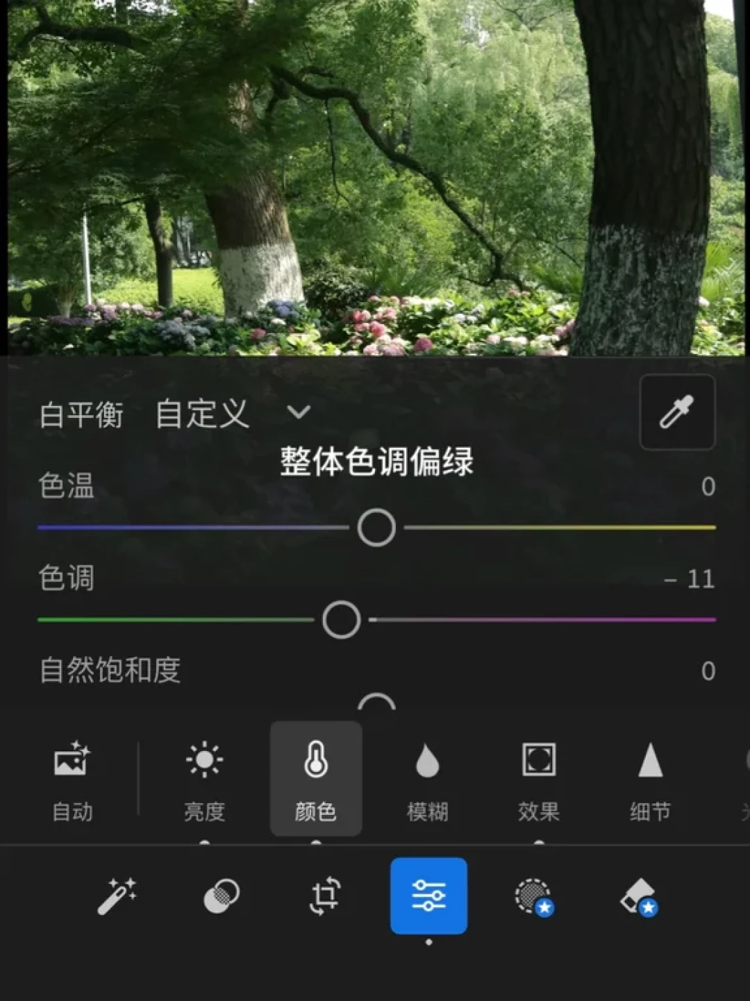 调色分享|绿色氛围感滤镜