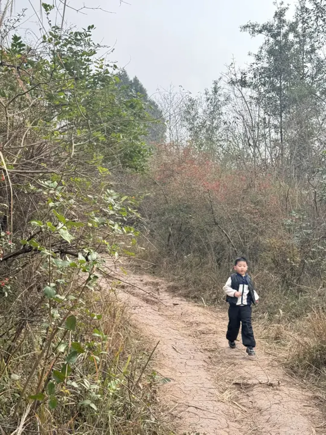 成都亲子徒步！金堂二道坪小环线带娃冲✅