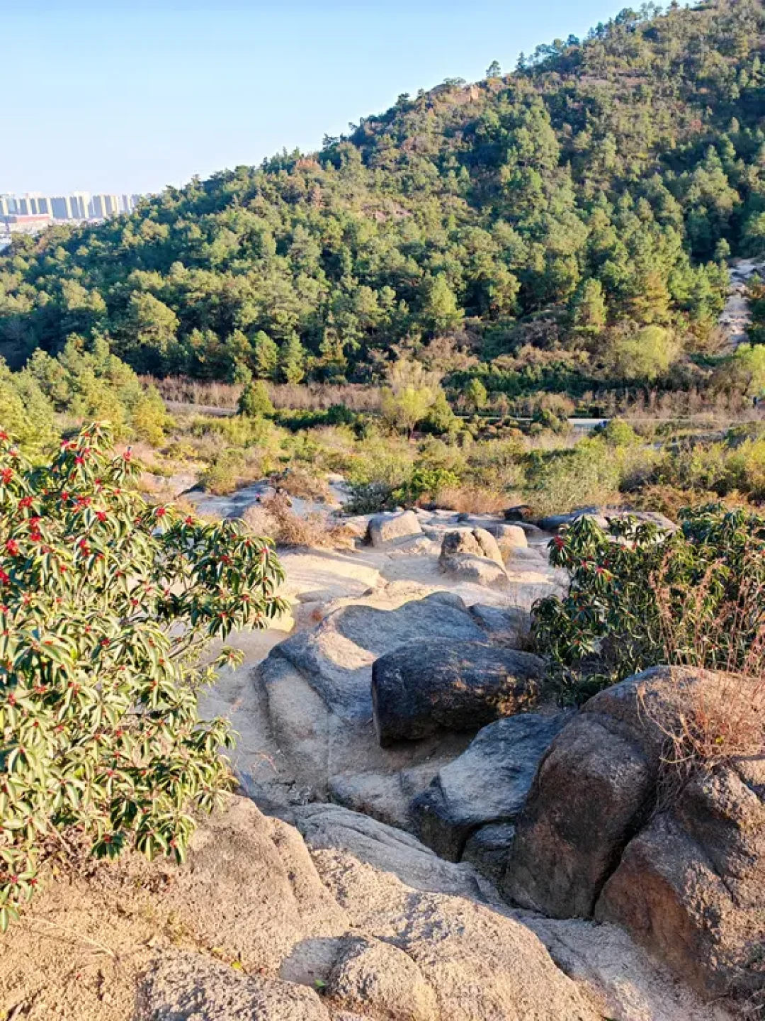 天平山法螺寺环线|层林尽染的小众徒步秘境