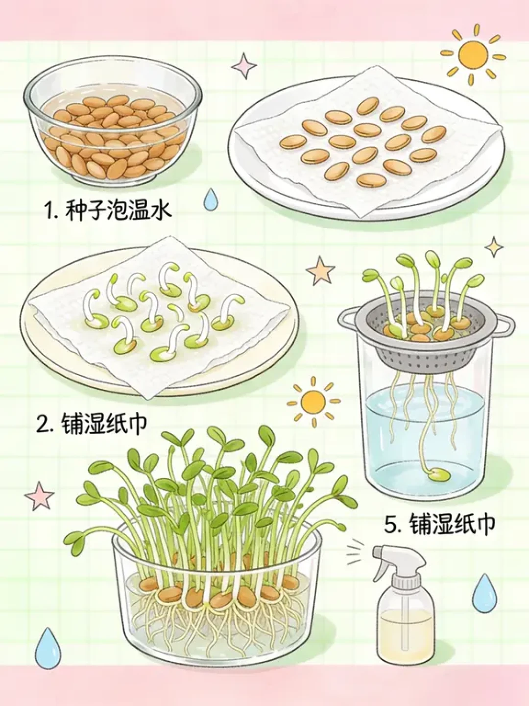 阳台水培蔬菜🌱0失败！新手7天冒芽20天炫菜✨
