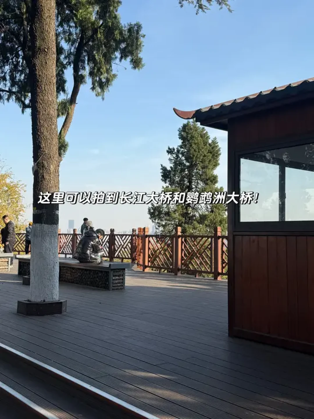 🍃武汉龟山|本地人私藏的city walk天花板