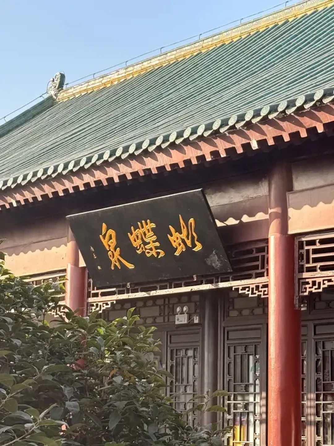 🍃武汉龟山|本地人私藏的city walk天花板