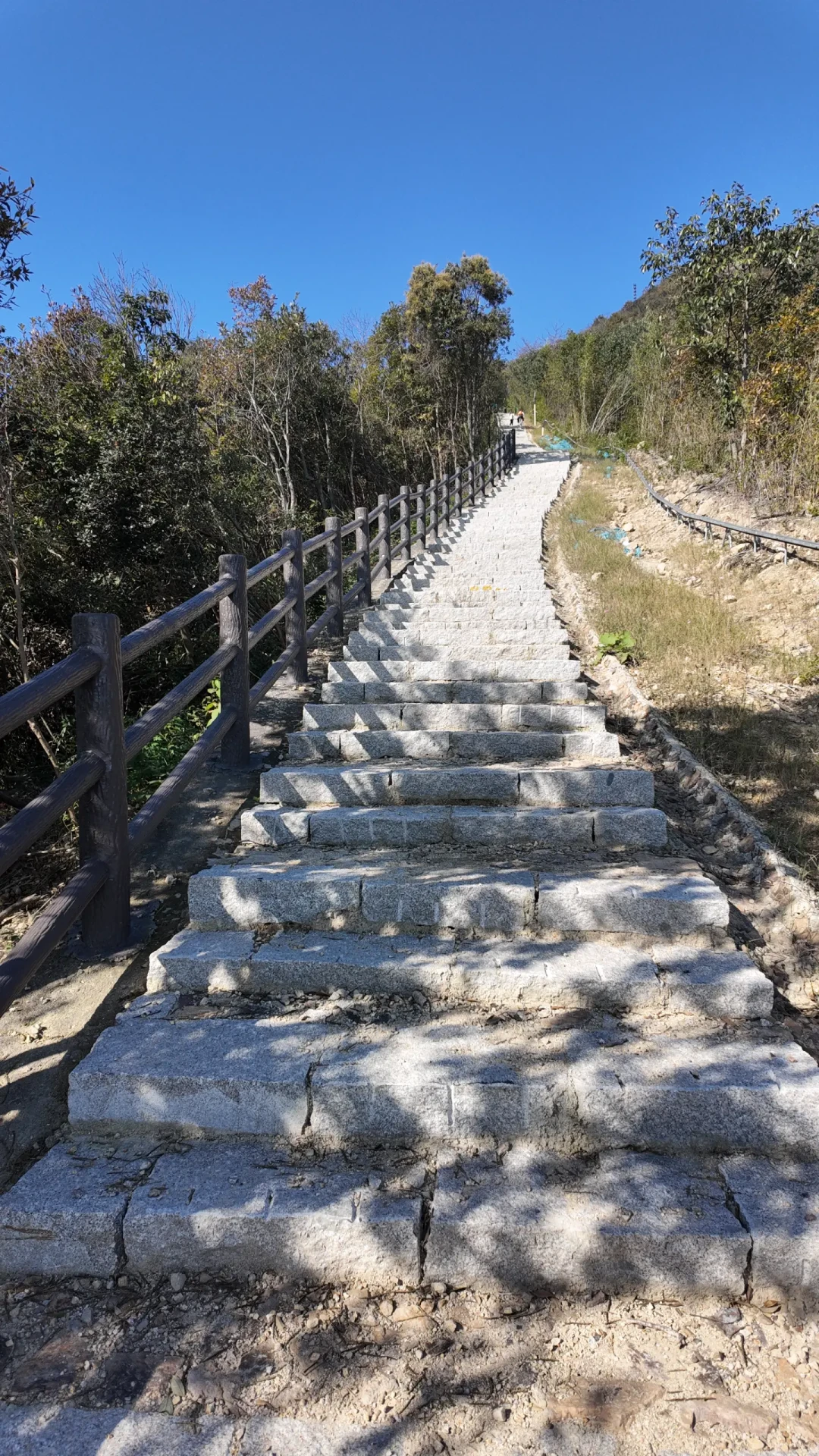 鸬鸟山新路线~古道东段打卡,附保姆级攻略
