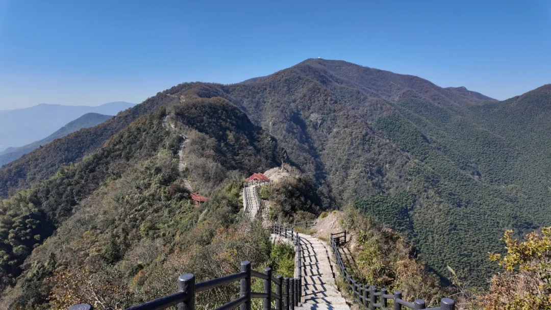 鸬鸟山新路线~古道东段打卡,附保姆级攻略