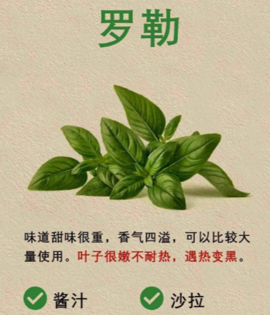 【西餐香草】入门指南!七种常用香草区别+用法;为啥一直没被我国消费市场接受?