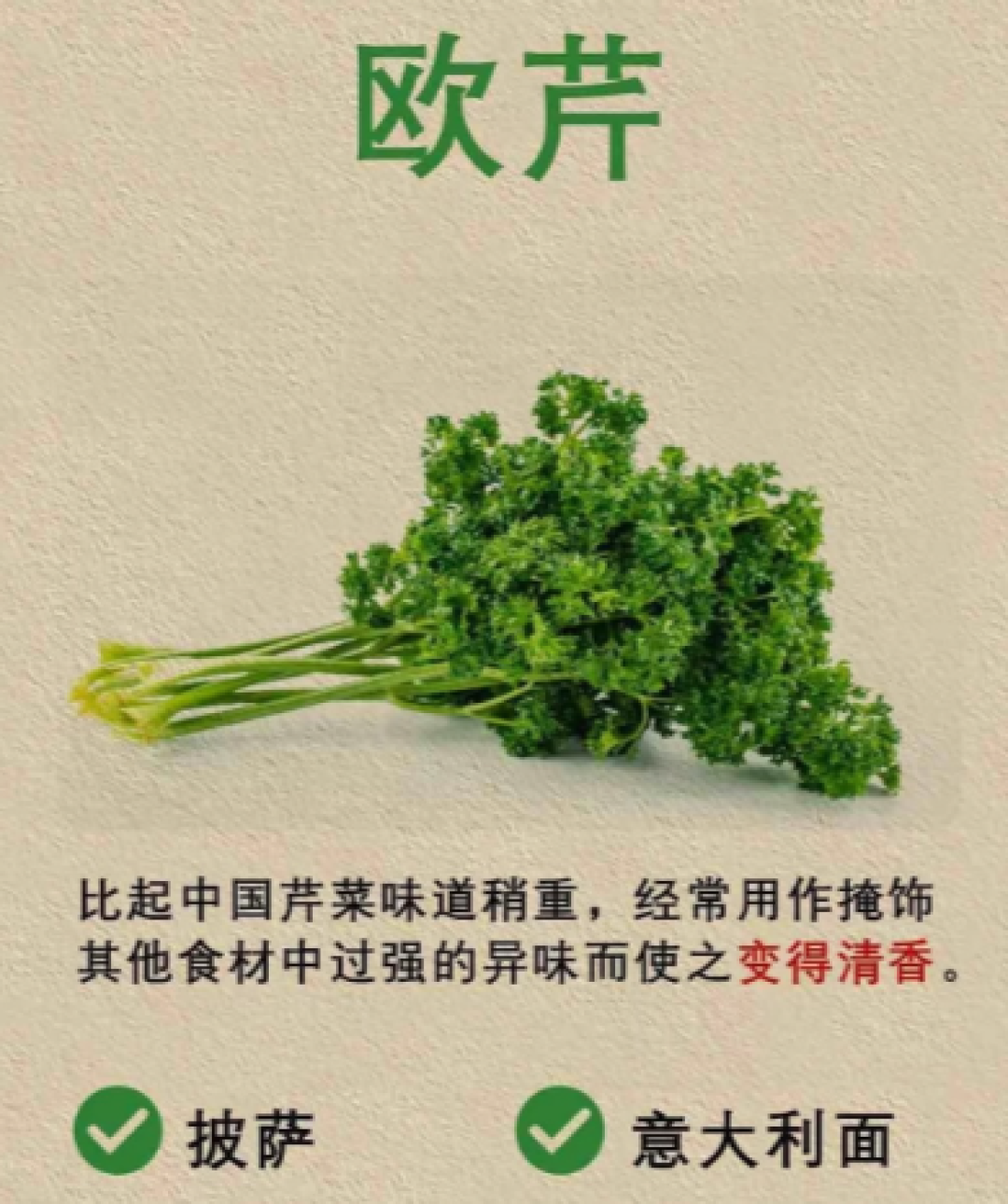 【西餐香草】入门指南!七种常用香草区别+用法;为啥一直没被我国消费市场接受?