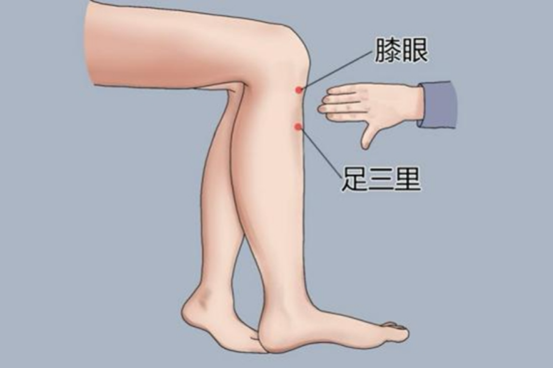 当护理遇见中医:藏在日常里的养生智慧,护您四季安康