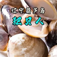 跟着潮汐去挖鲜！葫芦岛蚶子，藏着潮间带的鲜味密码！#省饭课代表 #好好吃饭大赛 #蚶子 #蛤蜊 #赶海人