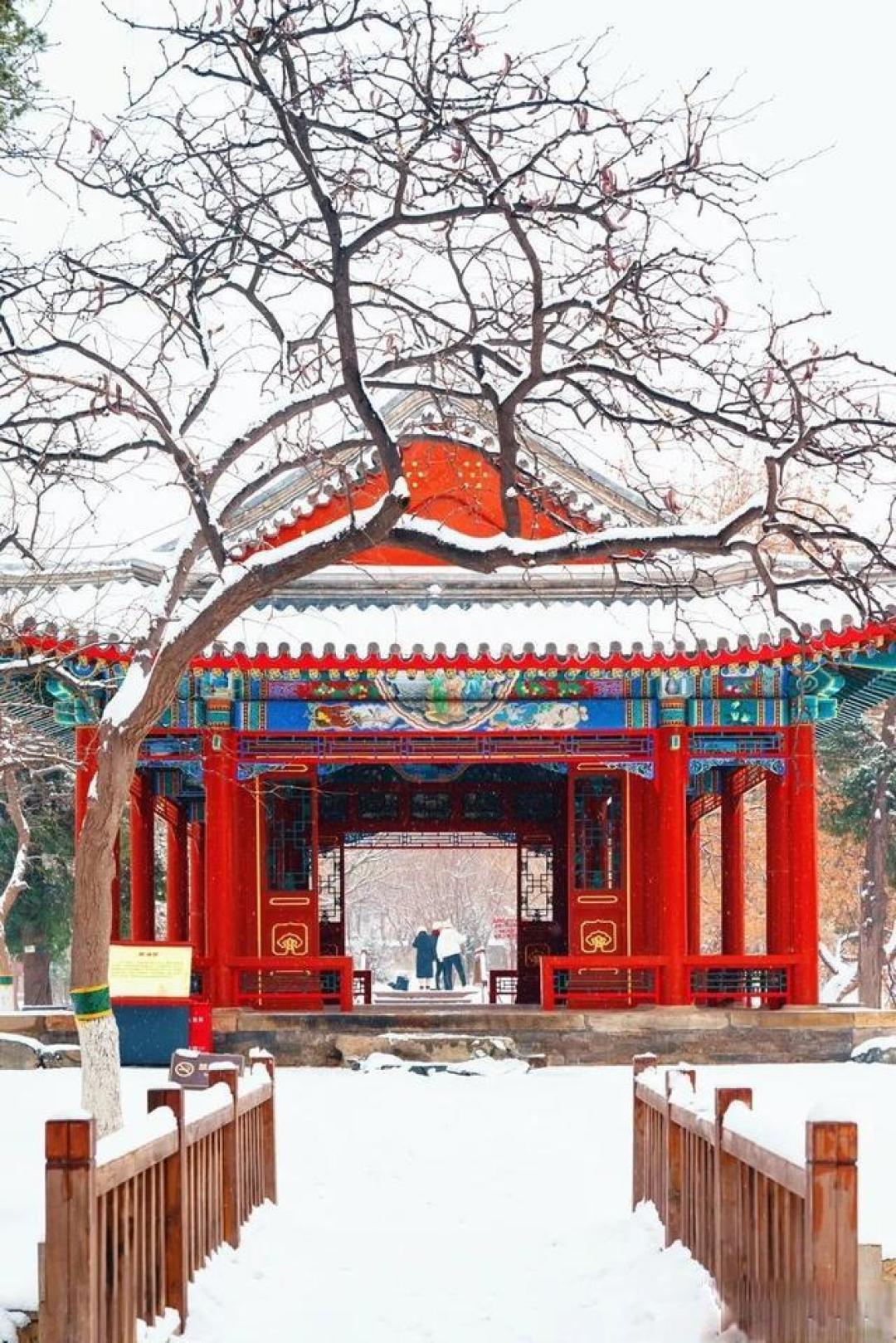 董宇辉镜头下的北京雪景:一半是诗意,一半是人间烟火