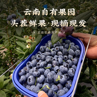 新春年货节|马年值得囤买的9种吉祥水果,好吃又讨喜,送礼自用都体面!