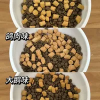诚实一口不同口味冻干猫粮喂养体验